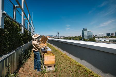 Beekeeper Tomáš Blaškkovič is taking care of bees on the roof of Einpark Offices in Bratislava's Petržalka borough.