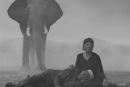 From Nick Brandt's series "A new day dawns".