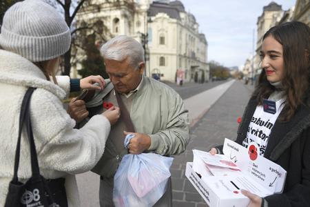 Volunteers sell poppies to people on the streets of eight Slovak regional capitals on Armistice Day, November 11. 