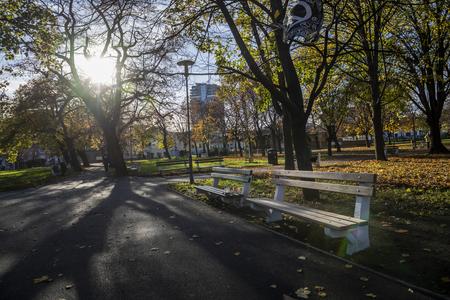 The refurbished bench once used by Miroslav Žbirka, at Račianske Mýto in Bratislava.