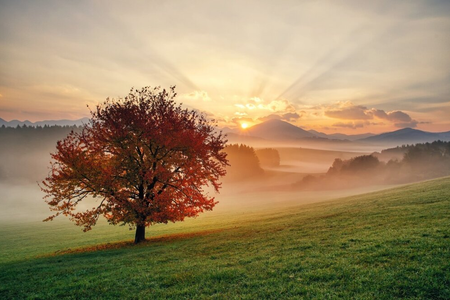 Pictures of Slovak region enthral the world