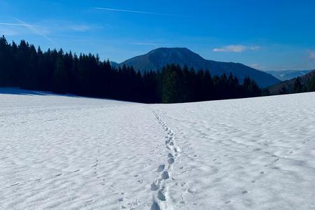 On the way to the Šíp mountain.