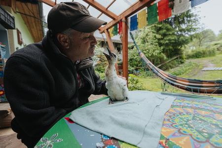 A rescued baby stork in the Orava region poses with rescue centre owner Metod Macek.