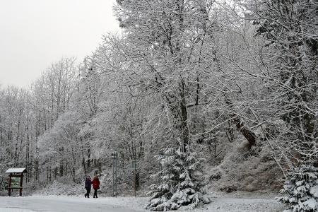 Tourists walk along the road in Tatranská Lomnica in the High Tatras on Saturday, November 19, 2022.