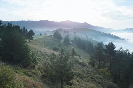 Slovak national parks lack protection. Amended law should be the first step towards change