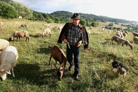 A Slovak shepherd. (Illustrative image)