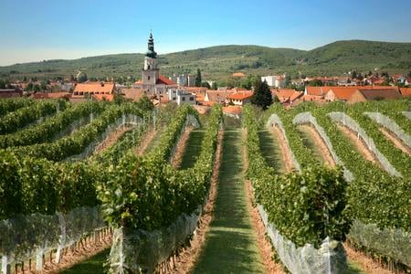 Drink like the Romans did along the Carpathian wine route