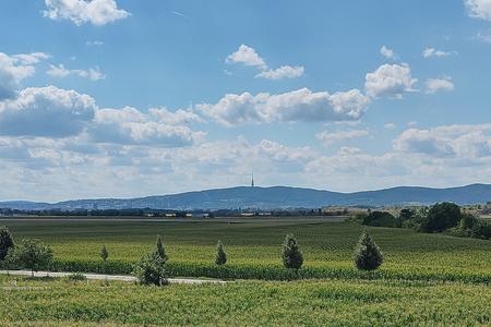 The countryside east of Bratislava. (Illustrative image)