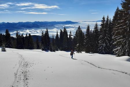 The mountain guide advises where to go in winter