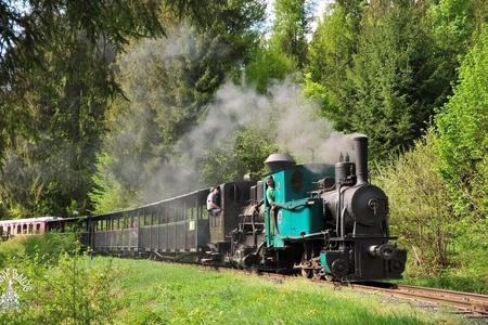 The end of the line? The unique forest railway in Čierny Balog may be derailed by a property dispute.