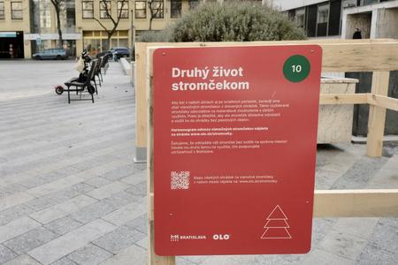 One of wooden pens for collection of used Christmas trees installed across Bratisalva is on Primaciálne Square.
