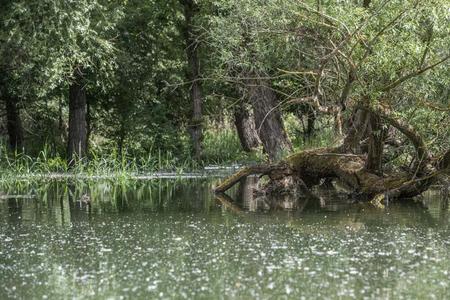 The results of a simulated flood on the Danube. 