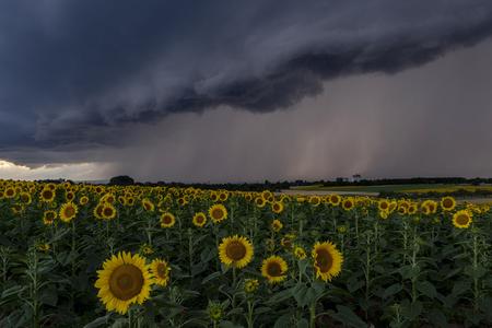 Storm.