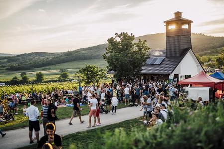 The Wine under the Stars event in Pezinok.