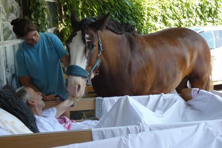 Midi from "Hipoško" with Slovak patient. 