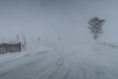 Snow storm in the town of Poprad, eastern Slovakia, on Saturday, February 4, 2023.