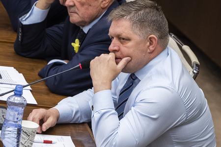 Fico's detention may be moot by the time parliament makes a decision
