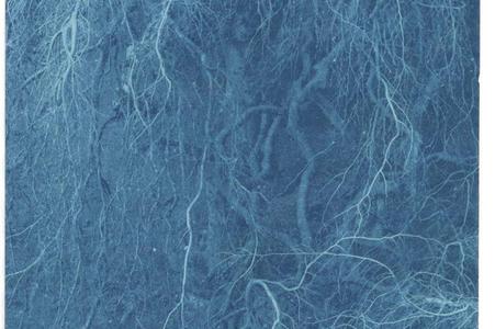 Cyanotype photography is one of the oldest photographic printing processes in the history of photography.