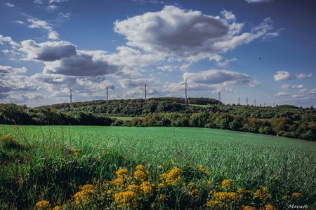 Wind turbines in Cerová.
