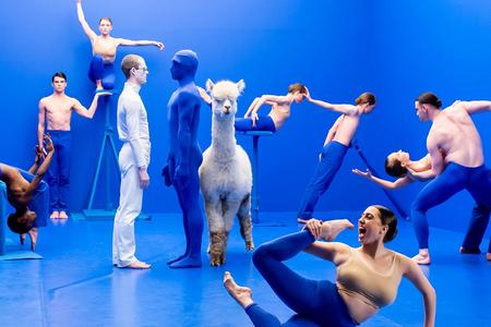 The festival Bratislava In Motion is taking place in the capital these days.