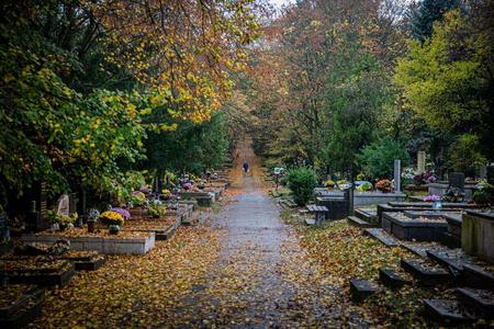 One of Bratislava's cemeteries.