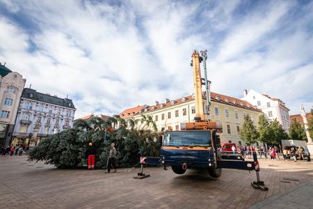 This year's Christmas tree waits to be erected in Bratislava on November 2, 2023.