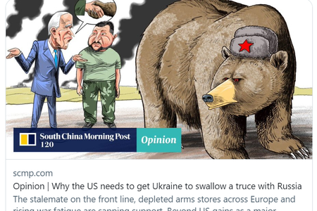 A screenshot of the opinion supposedly written by a Slovak expert.