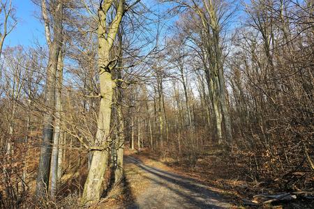 Where to go off during holidays in Bratislava (not just for introverts)