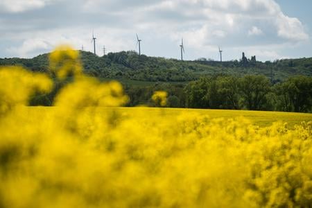 The wind park in Cerová, western Slovakia.