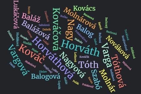 Slovak surnames.