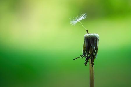 Ilustračná fotografia