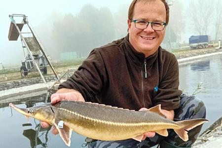 Bořek Drozd from the University of South Bohemia, holding the 100th tagged sterlet (a species of sturgeon), whose journey along the Danube will be monitored as part of the LIFE Living Rivers project.