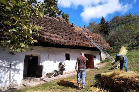 Restoring the thatched roof.