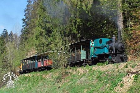 The operation of one of the most sought-after tourist attractions in the historic Horehronie region, central Slovakia, is at risk.