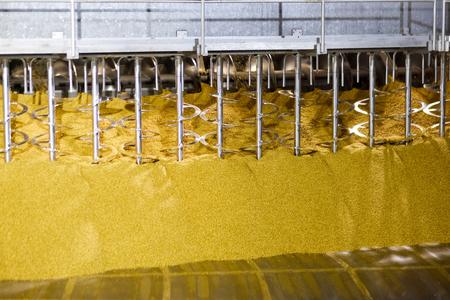 Production of malt in Heineken Slovensko Sladovne.