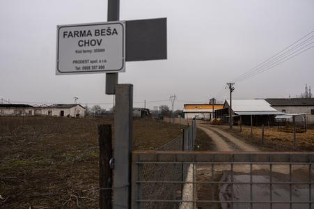 The former agricultural cooperative in Beša, rented by the company Prodest. Antonino Vadala and Pietro Catroppa run a bull farm there.