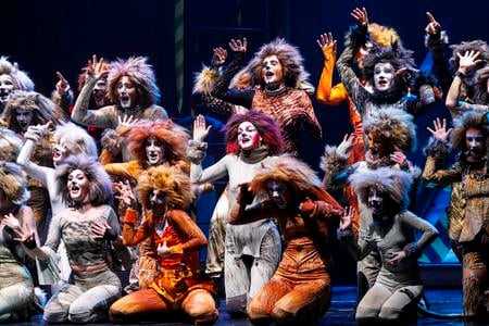 Bratislava’s Nová Scéna Theatre is bringing the legendary Andrew Lloyd Webber musical "Cats" back to its stage after six years.