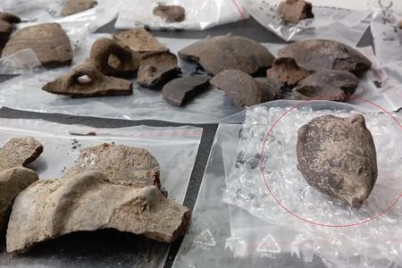 Finds discovered in Veľké Kostoľany.