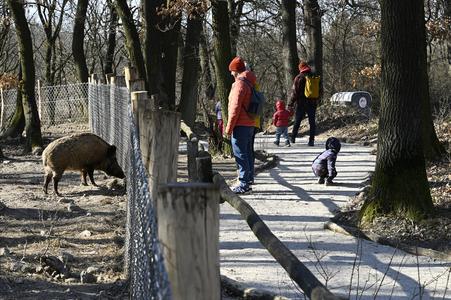 Visitors to the Bratislava Zoo near the boar enclosure.