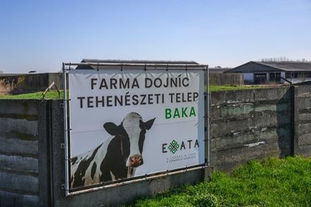 Slintačka a krívačka je vysoko nákazlivá.