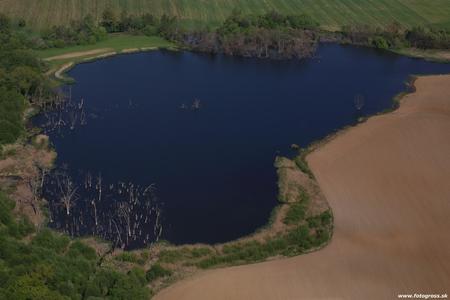 The unique lake near the town of Nováky, western Slovakia.