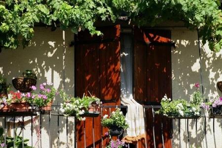 Plants on balcony
