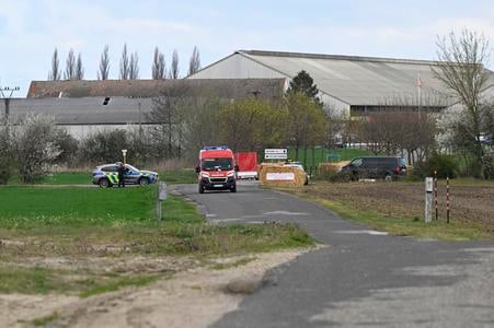 A farm in Plavecký Štvrtok, Malacky district, where foot-and-mouth disease was confirmed on 30 March 2025.
