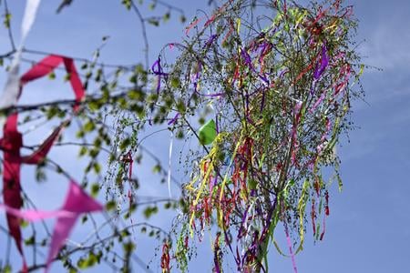 A maypole stands tall in front of the municipal office in Michaľany, Trebišov district, on 1 May 2022.