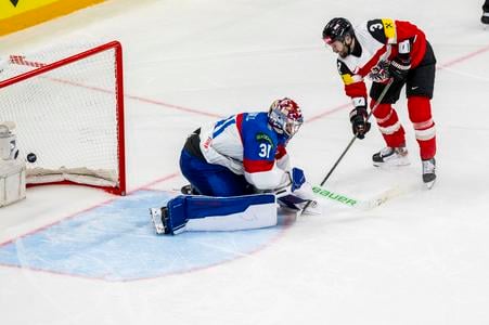 Slováci „prelajdáčili" začiatok, remíza bola zaslúžená. Rozhodcovia pochybili, zhodli sa experti