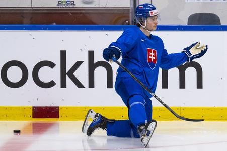 Na snímke hokejový reprezentant SR Dalibor Dvorský počas tréningu pred zápasom A-skupiny Fínsko - Slovensko.
