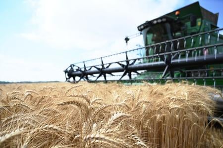 Словацька партія вимагає припинити "торговельний безвіз" з Україною через шкоду економіці