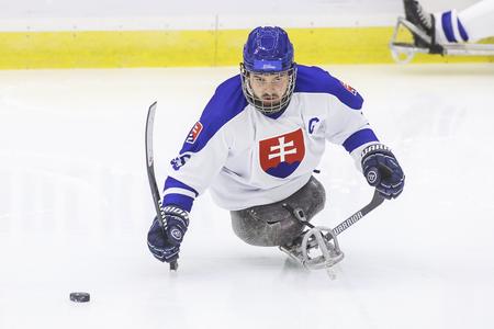 Slovenskí parahokejisti obsadili na MS 6. miesto, o priamy postup na ZPH 2026 ich pripravilo Nemecko