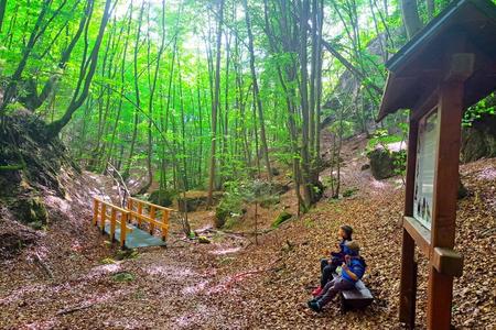 Four new bridges now span the Krpelianska Gorge, their foundations made not of timber but of repurposed railway tracks. 