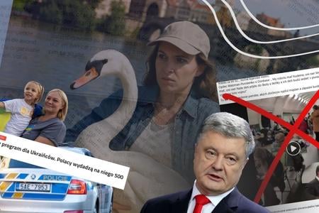 Дев'ятий щотижневий дайджест з розвінчування дезінформації у країнах V4